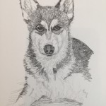 Kaya quick pencil study